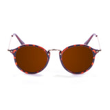 Shiny demy brown (SU102000.1)