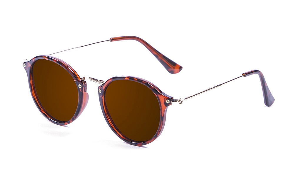 shiny demy brown, brown lens