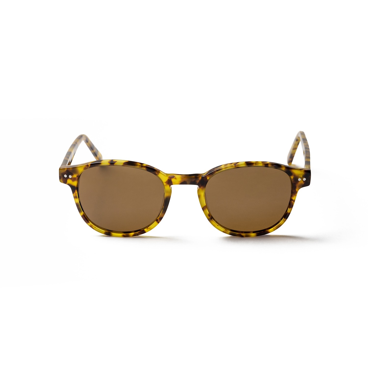 PAXTON DEMI BROWN FRAME AND BROWN LENS