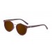 bambu marrom, marrom, lente marrom